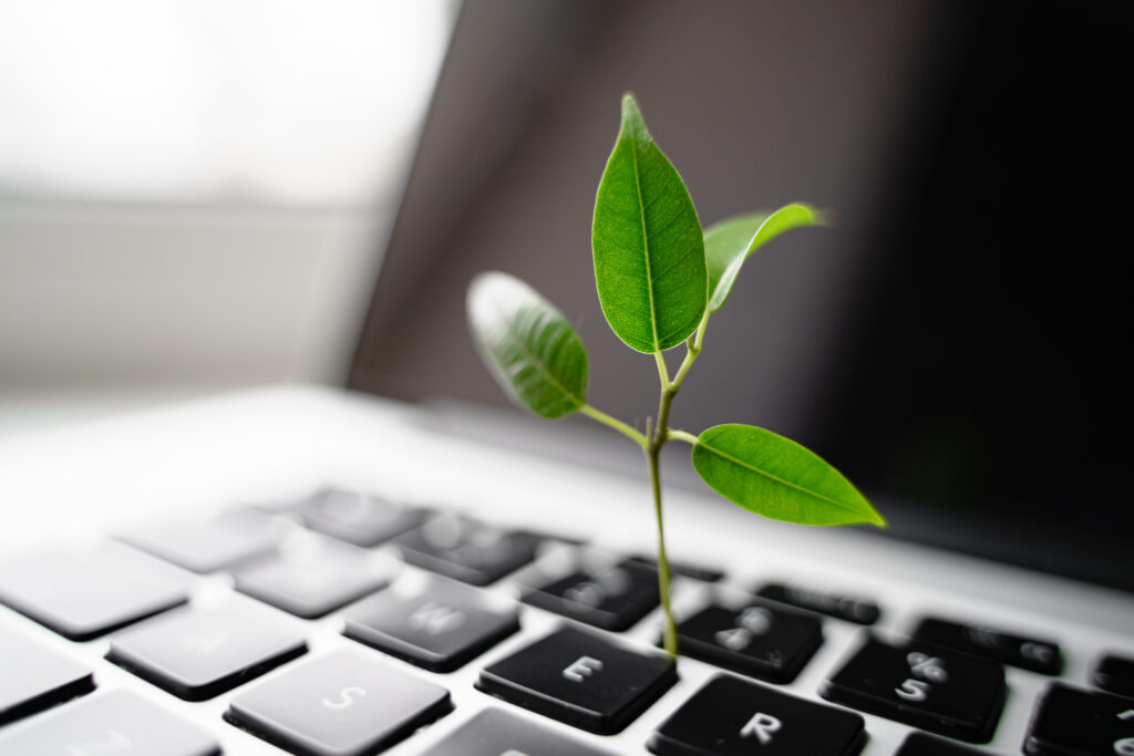 Laptop keyboard with plant: green IT and digital sustainability