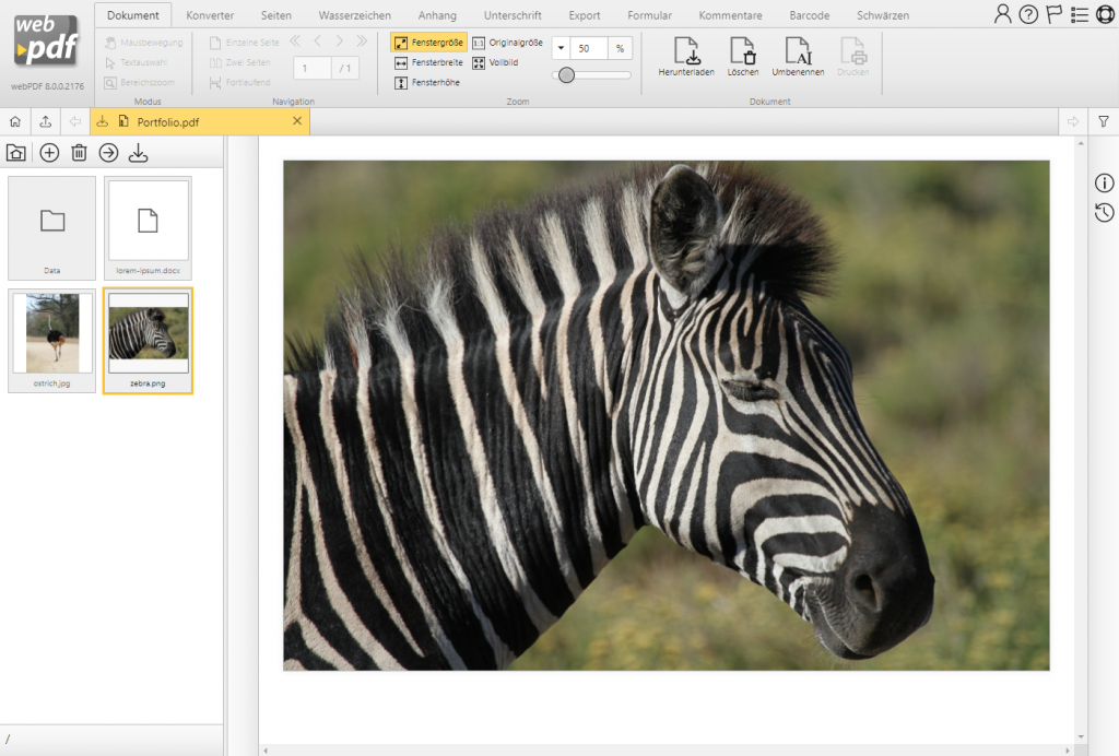 PDF portfolio overview